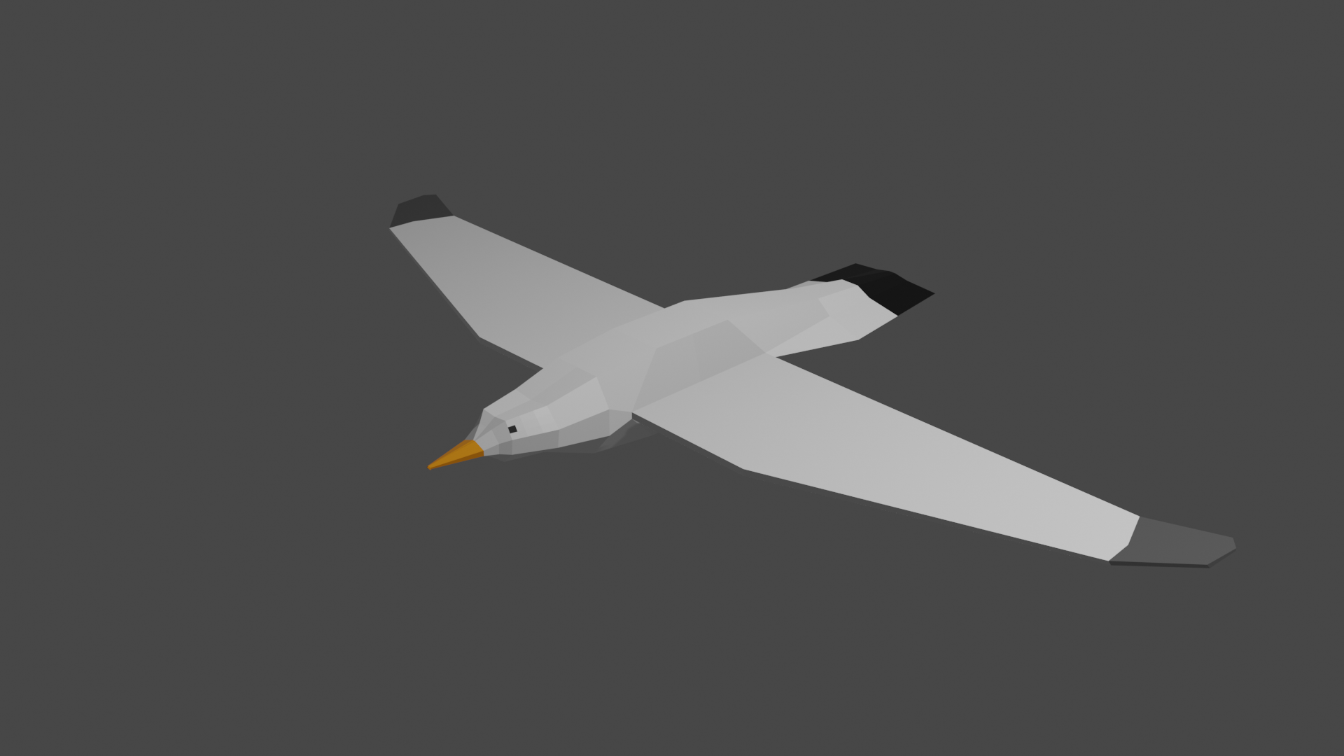 Seagull Low Poly preview image 1